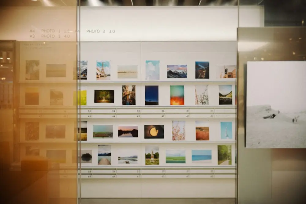 Gallery wall displaying landscape artworks, illustrating selecting works around a curatorial idea